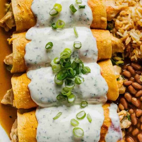 Chicken Enchiladas with Sour Cream White Sauce