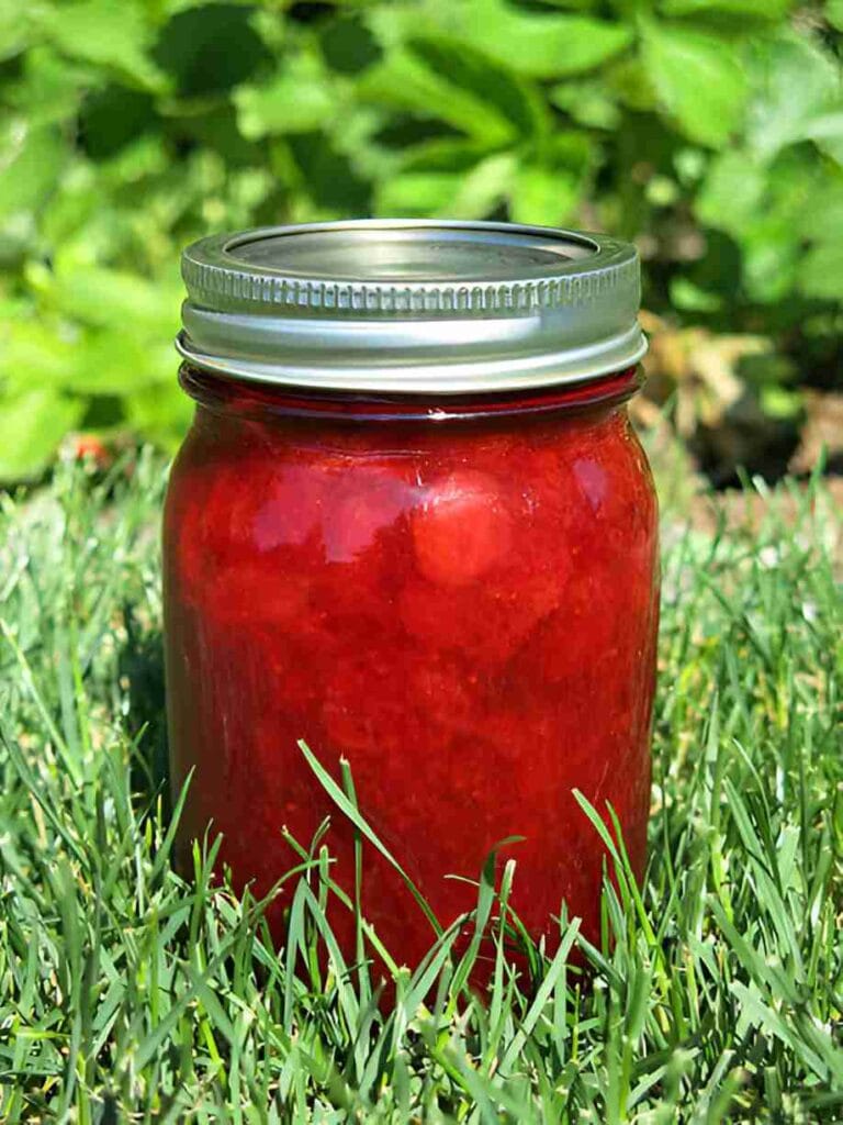 Cranberry Jello Salad