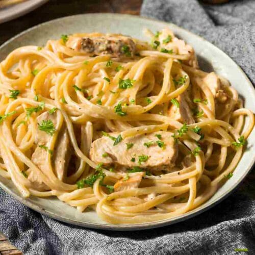 Creamy Chicken Spaghetti