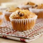 Moist Banana Chocolate Chip Muffins