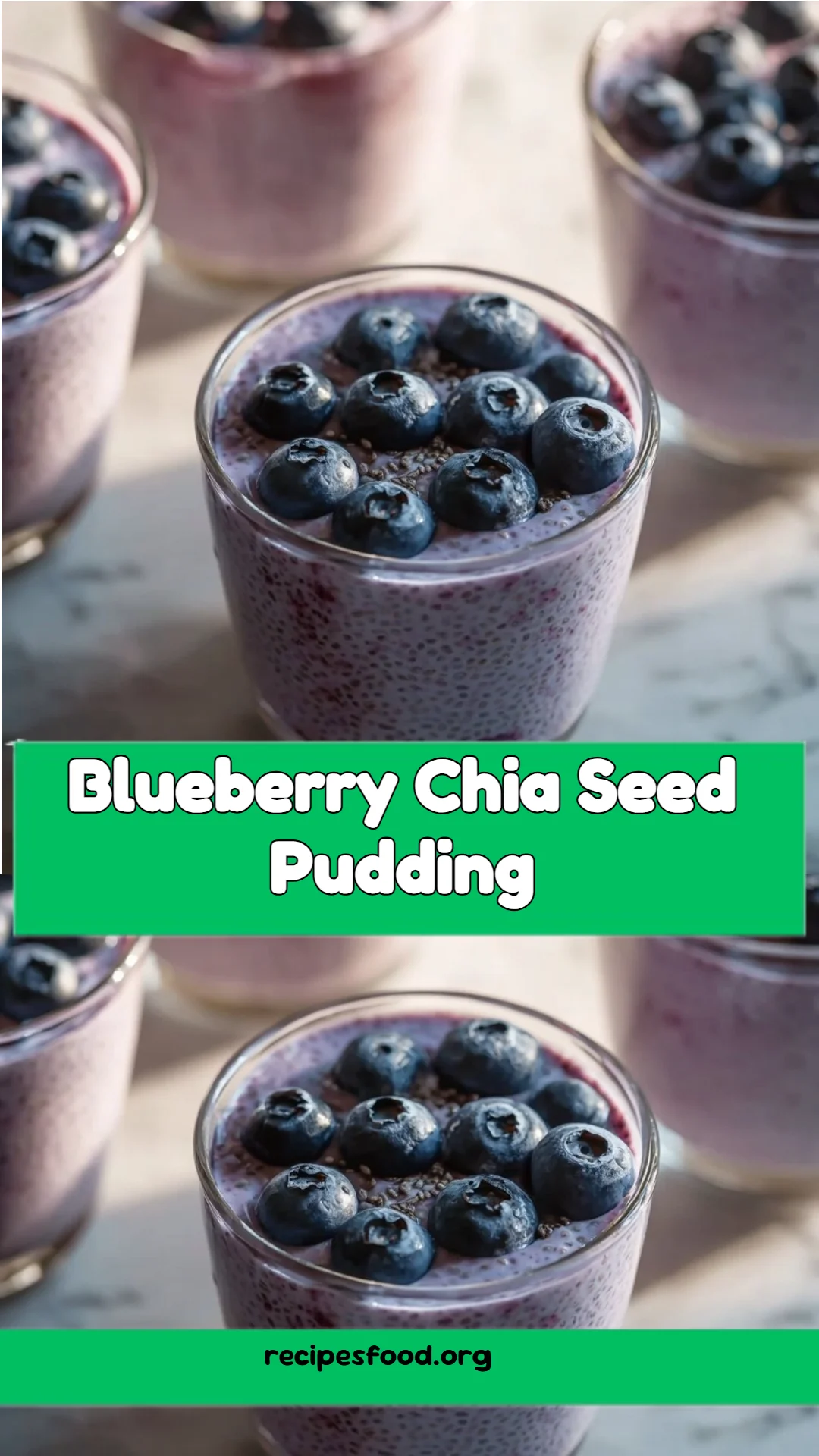 Blueberry Chia Seed Pudding