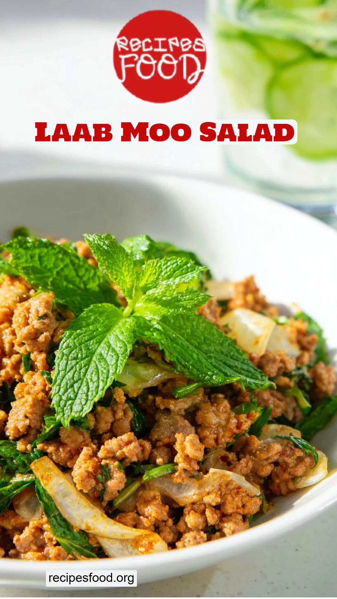 Laab Moo Salad