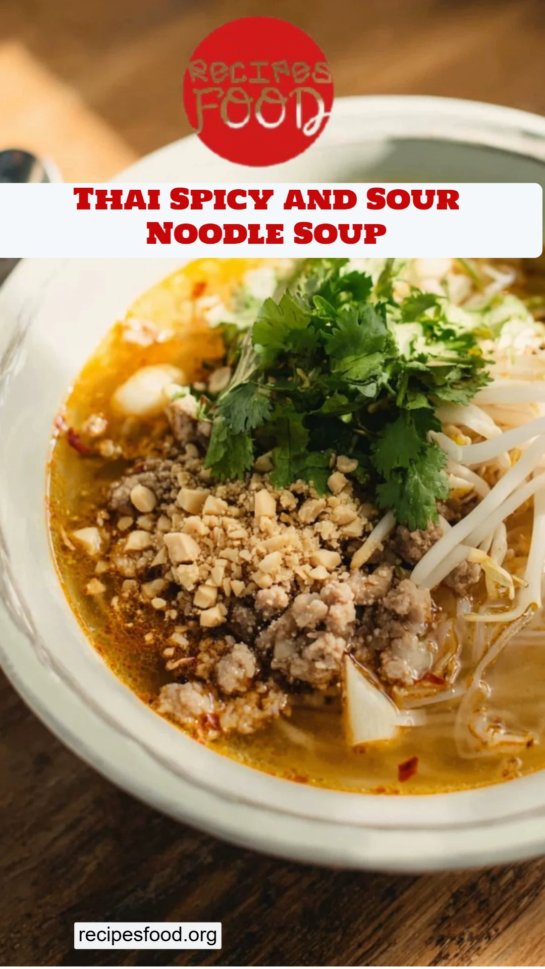 Thai Spicy and Sour Noodle Soup