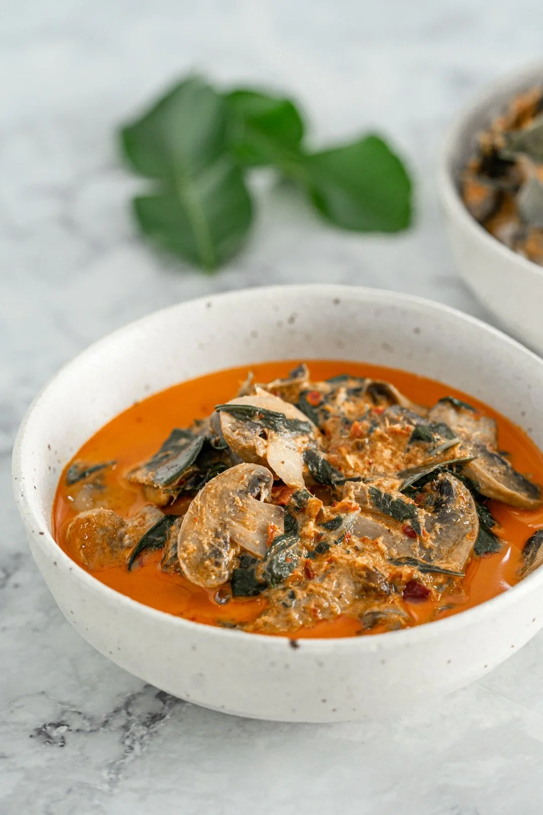 Vegan Thai Red Curry with Mushrooms