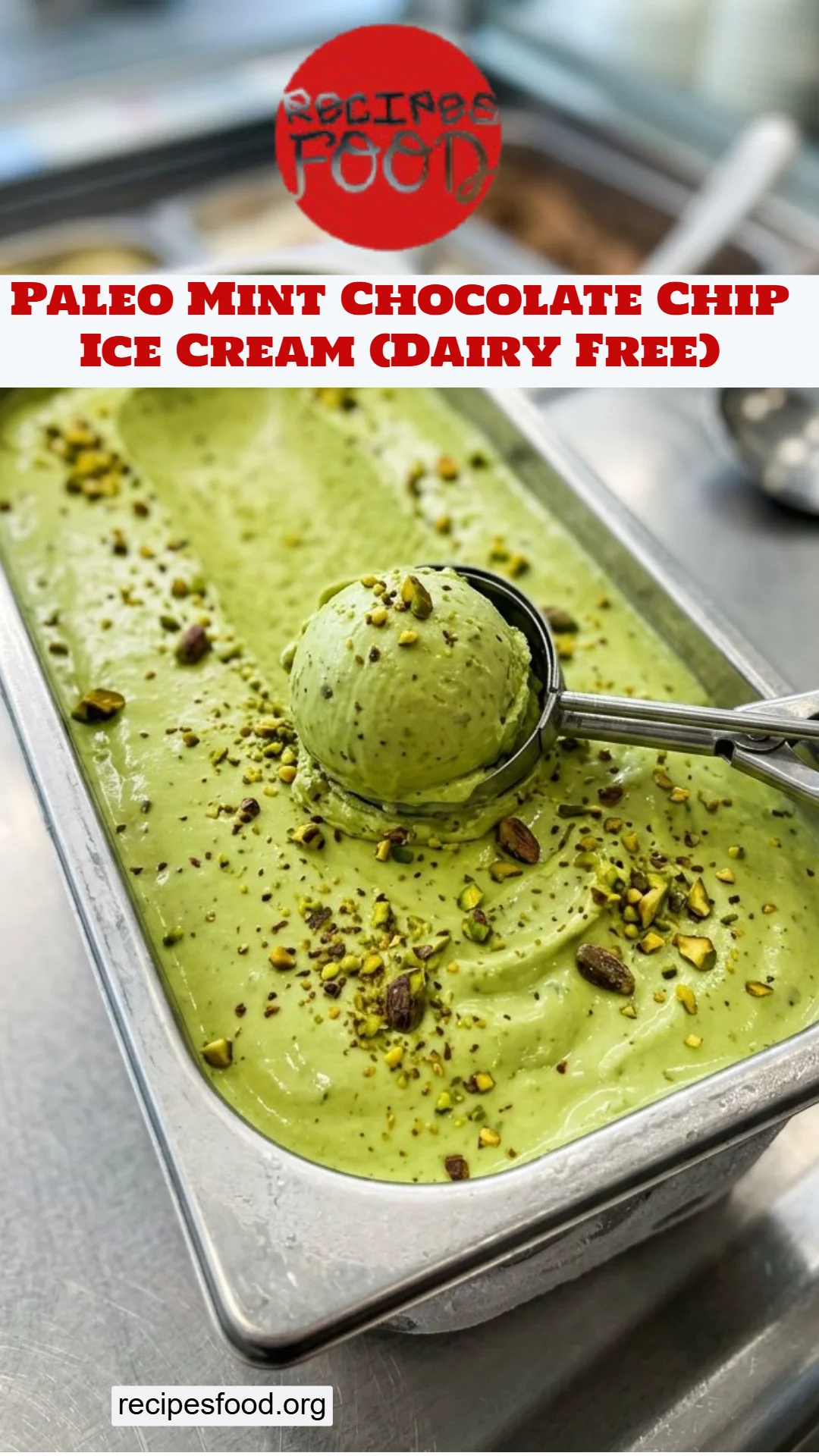 Paleo Mint Chocolate Chip Ice Cream (Dairy Free)